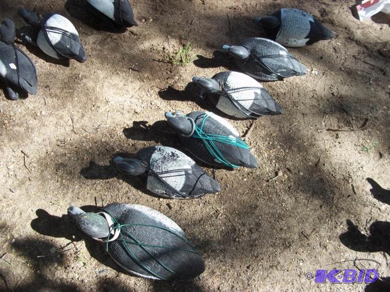 lot 252 image: 6 Duck Decoys