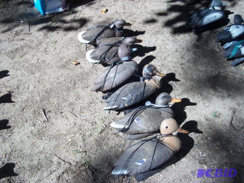 lot 253 image: 6 Duck Decoys