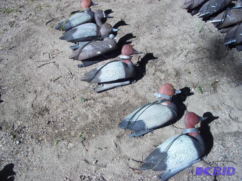 lot 254 image: 6 Duck Decoys