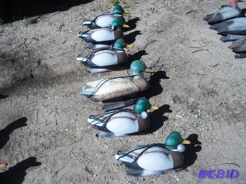lot 255 image: 6 Duck Decoys
