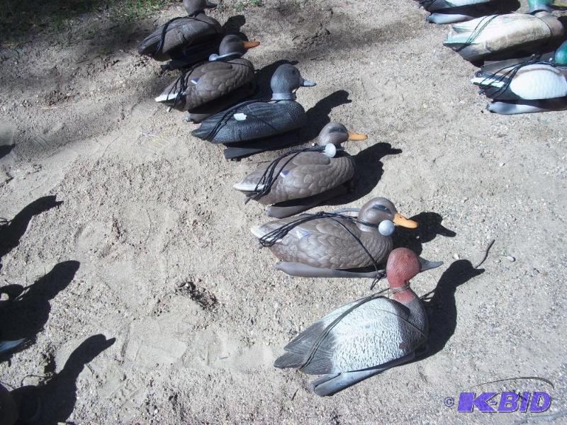 lot 256 image: 6 Duck Decoys