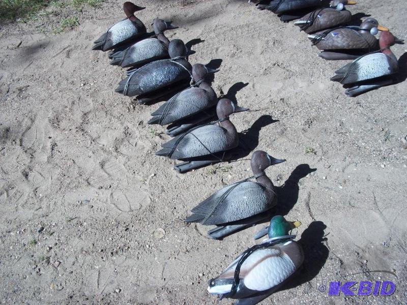 lot 257 image: 7 Duck Decoys