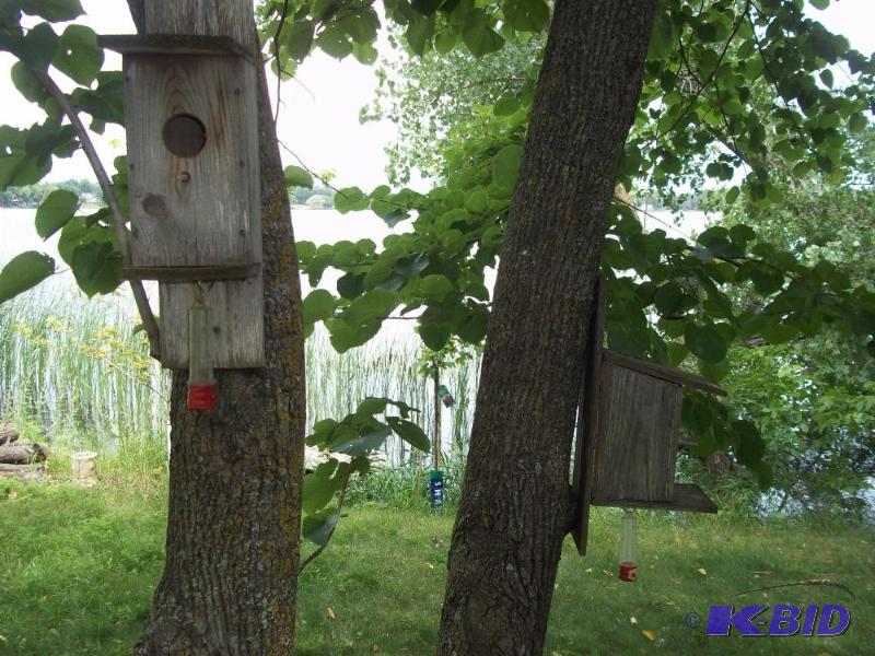 lot 27 image: 5 bird houses, 4 bird feeders