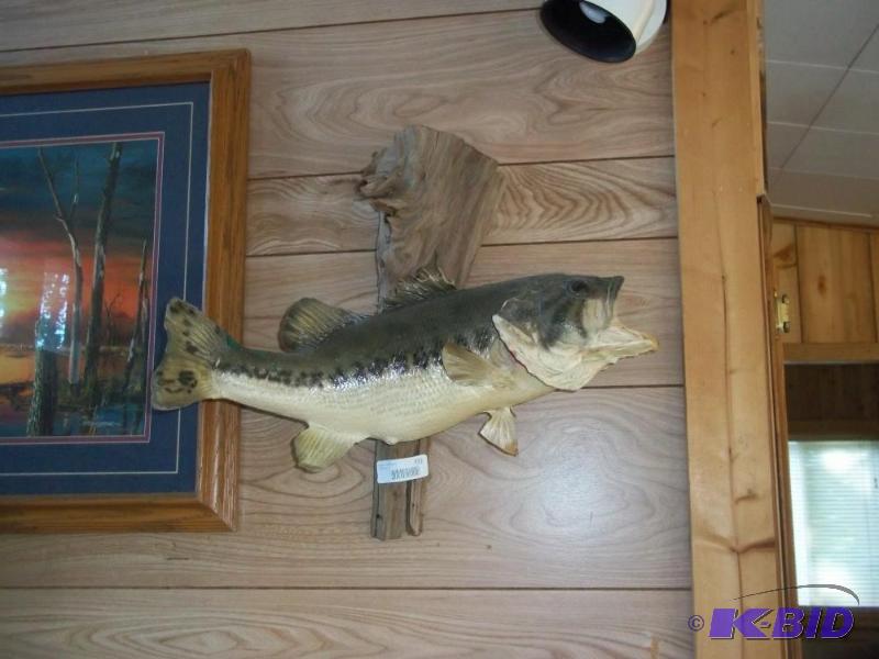 lot 322 image: Fish Mount