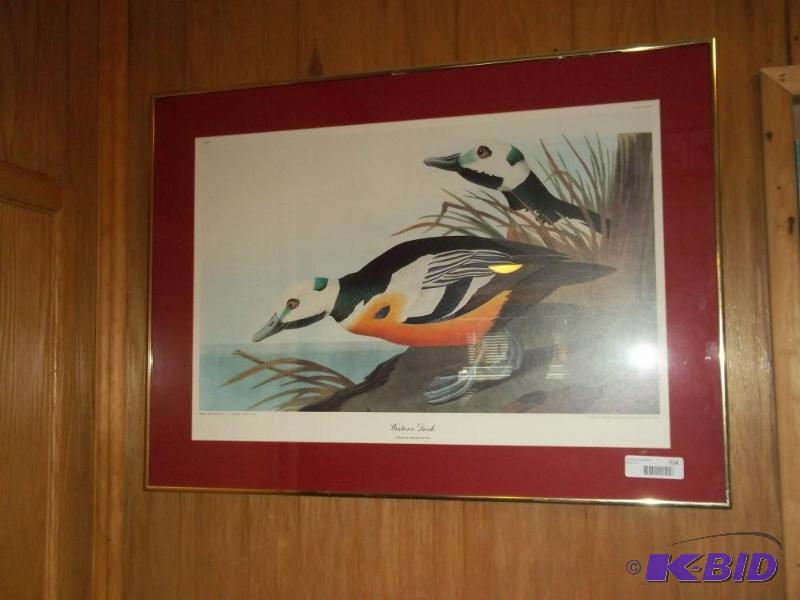 lot 354 image: Duck painting, western duck - Pair