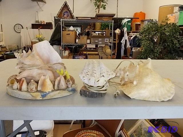 lot 35 image: 3 Lighted Sea Shells...