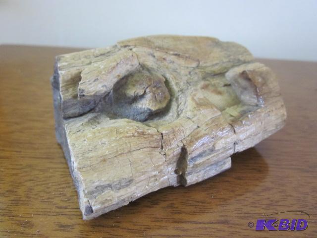 lot 39 image: Chunk of petrified wood. ...