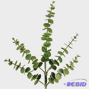 Ecaliptus Sprays