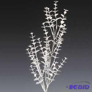 White Eucalyptus Sprays