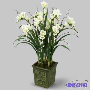 Wonderful Freezia planter