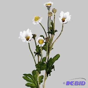 White Flocked Daisy Spray