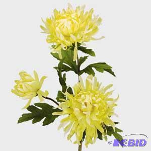 Yellow Mum Spray