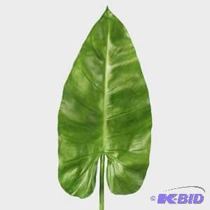 30-inch Bold Green Leaf