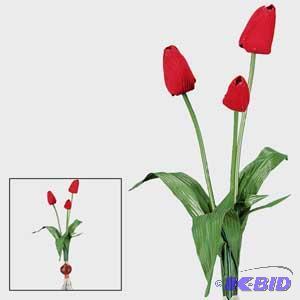 Red Tulip Bulbs