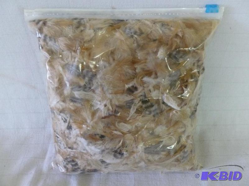 lot 80 image: Large one gallon bag of feathers, good for ma...