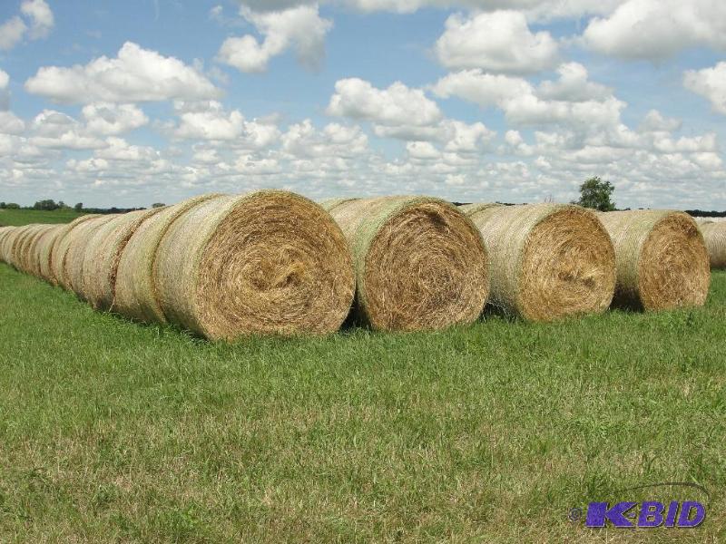 Upland Grass Hay