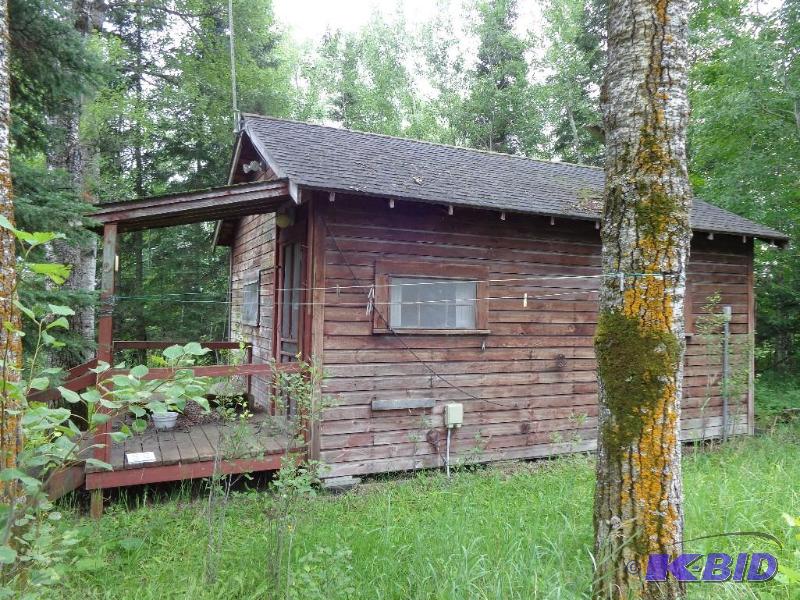 lot 4 image: Small Little Cabin Overall Dimensions are 20...