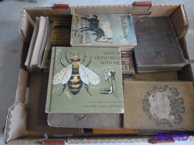 lot 12 image: Lot of Vintage Books...