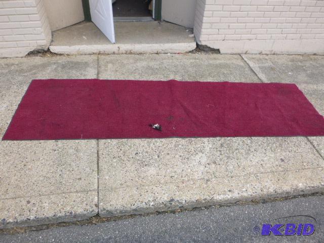 lot 206 image: Rug with Rubber Back 33" X 114"...
