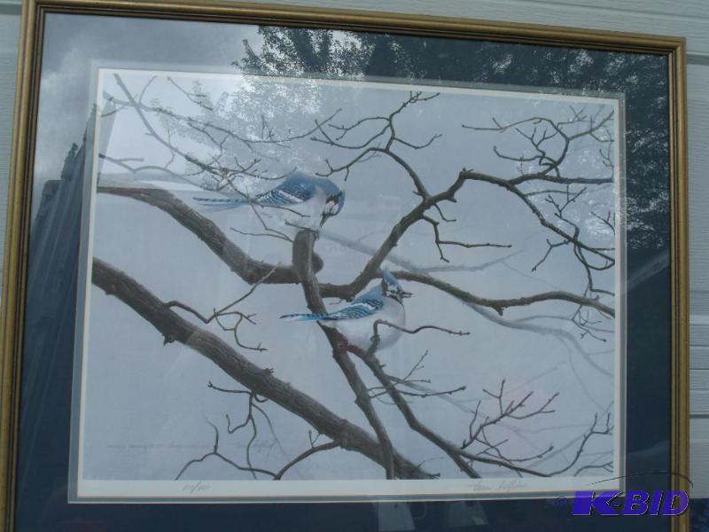Framed Print Bluejays  Signed and Numbered  Tom Heflin  100600