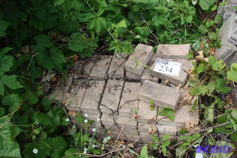 lot 234 image: Pallet of paver bricks...