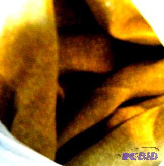 Dark Gold Fitted Sheet - Full size - Matches ...