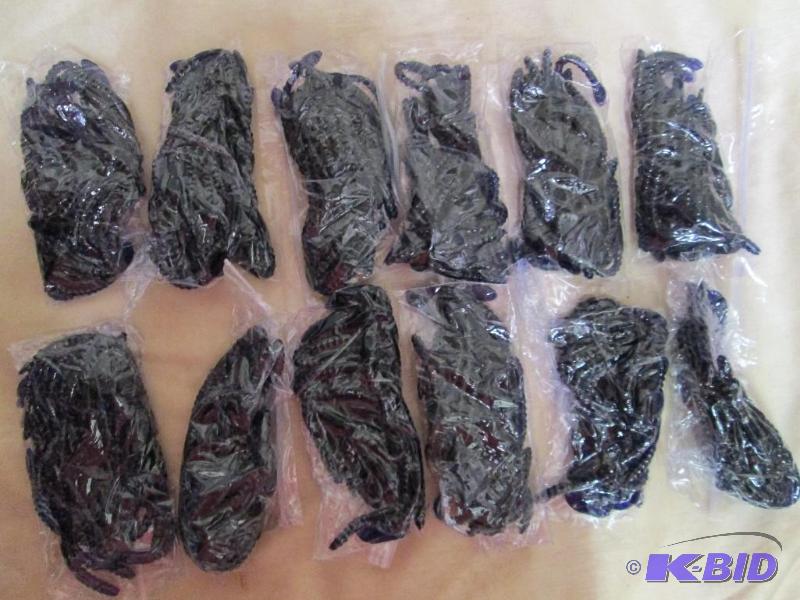 lot 242 image: Lot of 12 bags of 6 jig worms. Dark purple in...