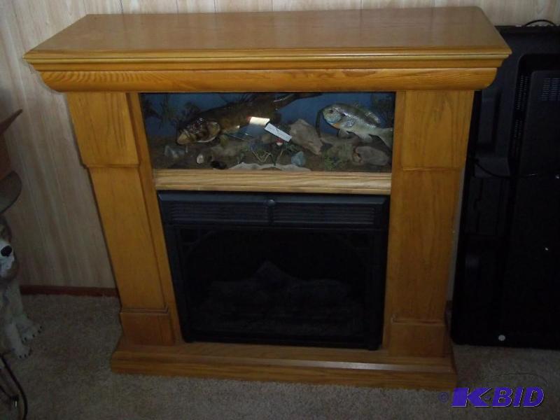 fireplace with fish mount inserts