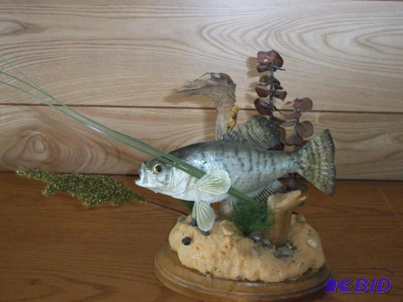 Fish decor