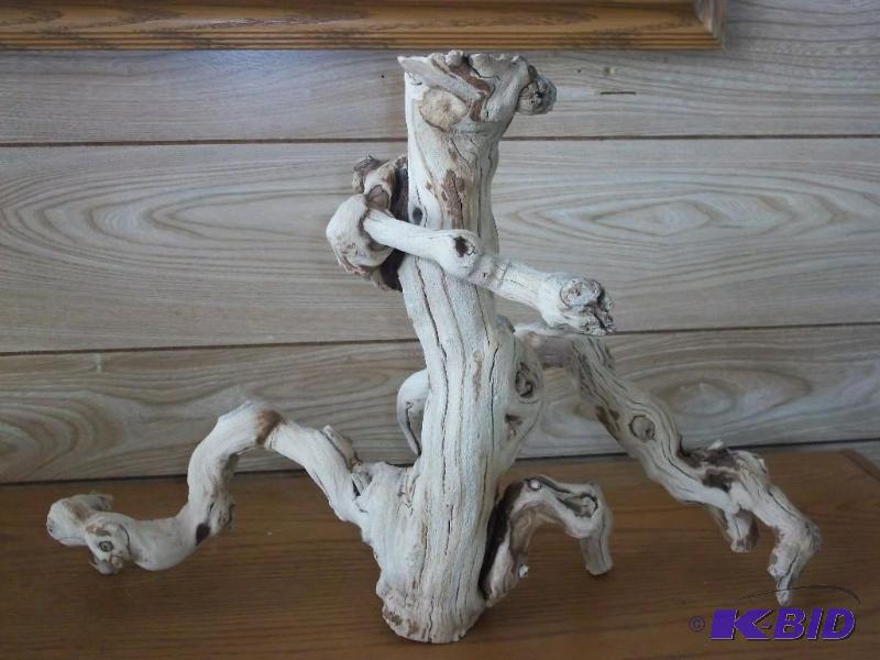 drift wood decor