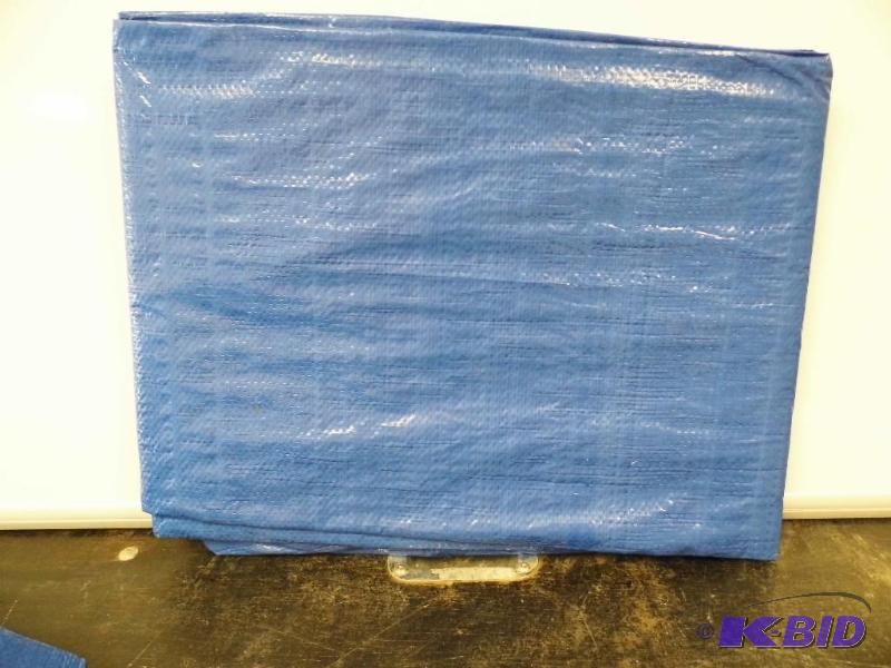 Blue Tarp