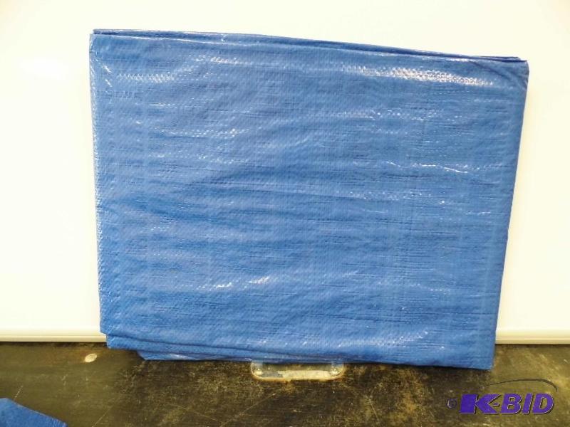 Blue Tarp