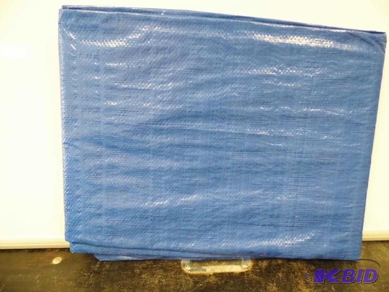 Blue Tarp