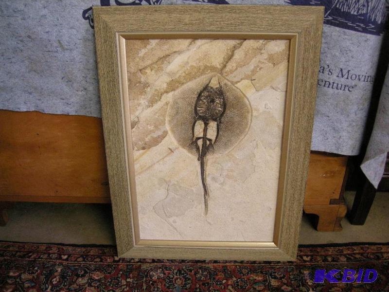 lot 4 image: Fossil stingray