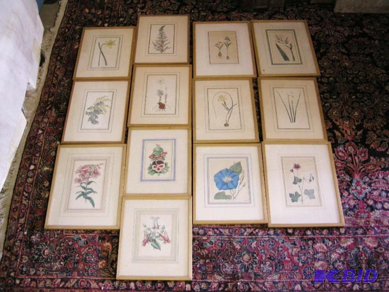 lot 498 image: Early botanical prints