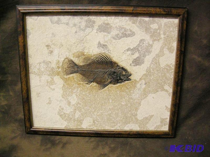 lot 6 image: Fossil fish