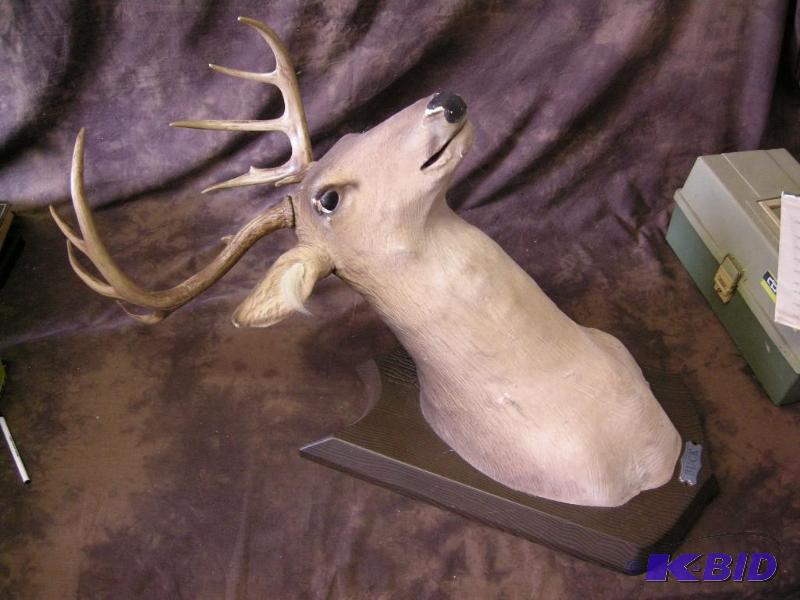 lot 600 image: Buck talkingsinging deer