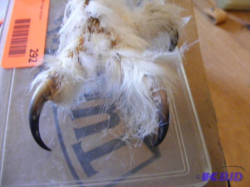 lot 292 image: Claw of some sort...