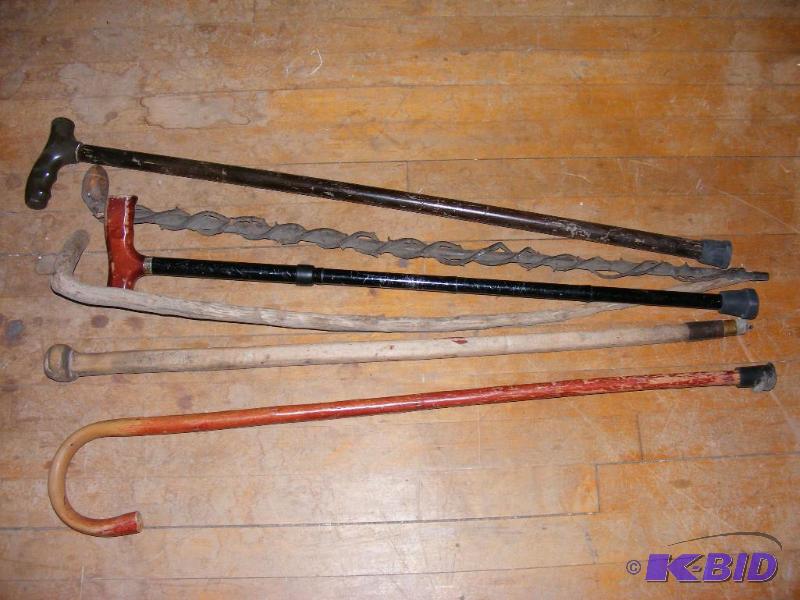lot 8 image: 6 Canes...