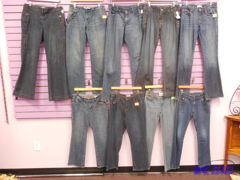Lot of 9 Name Brand Jeans - Size 8 - 2829 Some Petites - Calvin Klein - LOFT - DeLUXE Premium Denin