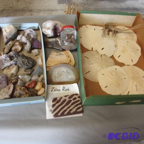 Sand Dollars, Special Rocks