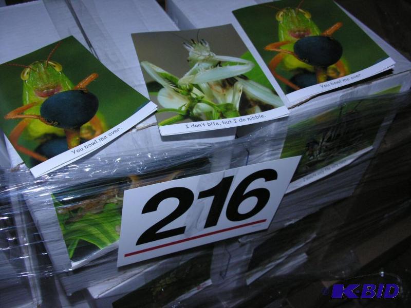 Bug & Nature Cards