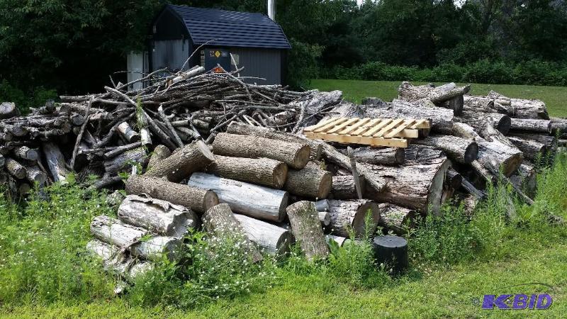 6 cords of Oak, maple & Willow