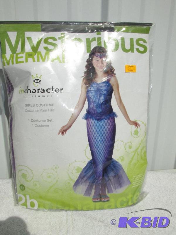 Mysterious Mermaid Costume
