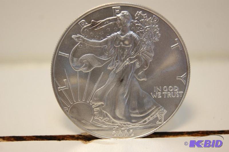Silver American Eagle