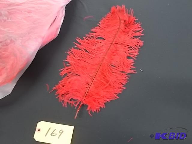 lot 169 image: Approx. (368) Red Feathers 22"...