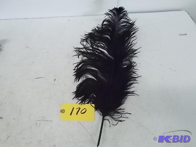 lot 170 image: Approx. (1391) Black Feathers 20"...