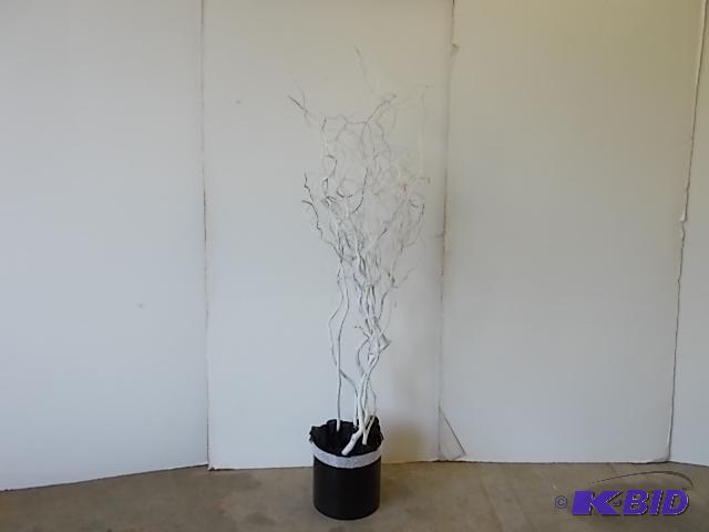 lot 300 image: (6) White Willow Trees, 7...