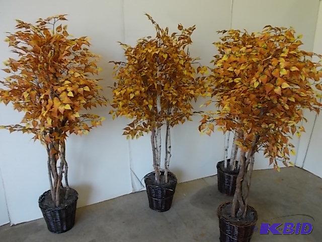 lot 302 image: (4) Trees, 5 12...