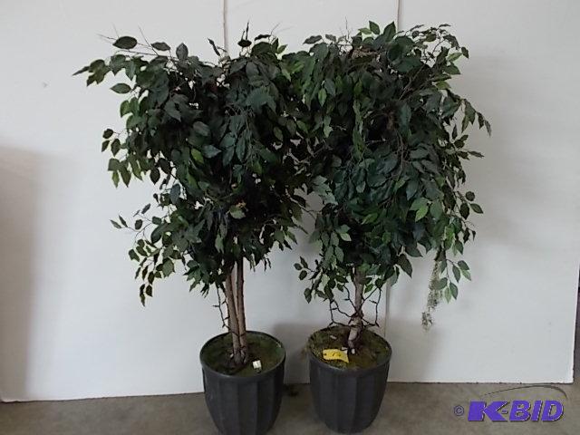 lot 75 image: (2) 6 Faux Ficus Trees...